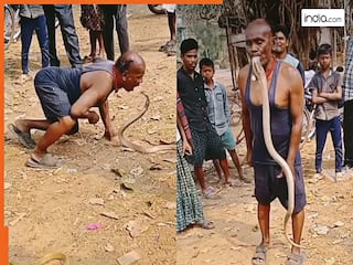 King Cobra Ka Video: शख्स ने मुंह में डाल लिया जिंदा कोबरा, तभी जो हुआ रोंगटे खड़े हो जाएंगे | देखें वीडियो