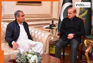 WATCH: Bad news for ICC and BCCI, Pakistan Prime Minister Shehbaz Sharif makes stand CLEAR on T20 World Cup 2026 game vs India, says 'we will not…'