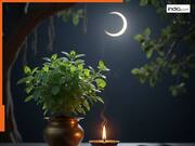 अमावस्या के टोटके: अमावस्या के दिन करें तुलसी से जुड़ा ये आसान उपाय...घर में नहीं होगी धन की कमी!