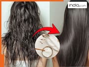 घर बनाएं महंगे कंडीशनर! मरियम का एलोवेरा वाला सीक्रेट आएगा काम, बेजान बाल दूर से करेंगे शाइन