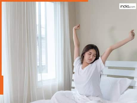 Morning Vastu Tips: सुबह उठते ही अगर देख लीं ये चीजें तो रूठ सकती है किस्मत...परेशानियों से घिर जाएगा जीवन