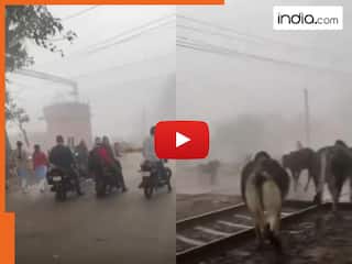 VIDEO: अचानक ट्रेन के सामने खड़ा हो गया गाय का झुंड, तभी जो हुआ सपने में भी नहीं सोच सकते