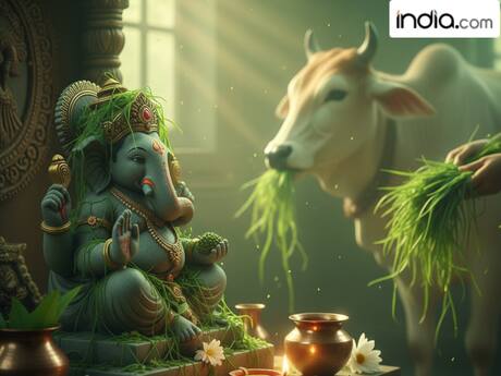 बुधवार के अचूक उपाय: हाथ नहीं लग रही सफलता या व्यापार में आ रही है बाधा? इस उपाय से चमक जाएगी किस्मत!