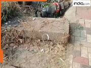 गड्ढे में एक और मौत: खुले गड्ढे की भेंट चढ़ी 27 साल के एक और बेटे की ज़िंदगी, दो दिन में नौकरी के लिए जा रहा था विदेश, क्या होगी कार्रवाई