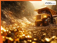 Gold, Silver Price Cut: Is this the right time to buy Gold and Silver as rates fall by 40 percent? Experts advise to...
