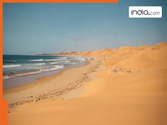 समंदर किनारे कैसे बसे दुनिया के सबसे सूखे रेगिस्तान? जानिए पानी होने के बावजूद बंजर क्यों है इलाका