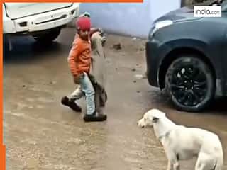 Bhai Behen Viral Video: बहन की रक्षा के लिए डॉगी से भिड़ गया बच्चा, सड़क पर जो हुआ देखते रह जाएंगे