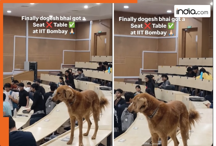 ‘Dogesh bhai got a table at IIT Bombay’ video goes viral; internet jokes about animal quota
