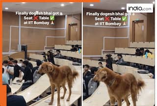 ‘Dogesh bhai got a table at IIT Bombay’ video goes viral; internet jokes about animal quota