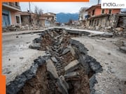 IIT कानपुर ने दी डराने वाली रिपोर्ट, उत्तर प्रदेश के इन दो शहरों को भूकंप से सबसे ज्यादा खतरा, ऐसा हुआ तो मचेगी तबाही