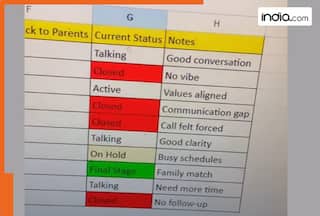 ‘Please share template’: Pune man’s Excel sheet to find arranged marriage partner goes viral, internet can't keep calm