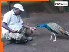 झारखंड का Birdman: पक्षियों से करता है बातें, जानिए कैसे देखते ही देखते बन गया जंगल की आवाज