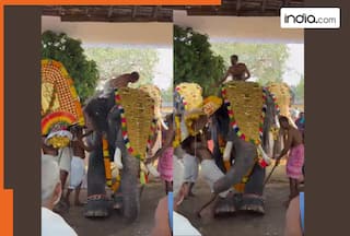 Kerala temple witnesses elephant attack on priest during festival; animal grabs and tosses him in air | Viral video inside