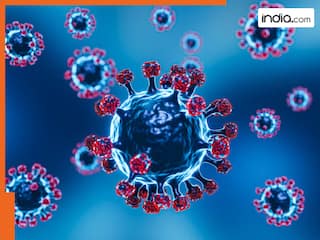 मेघालय में फैला रहस्यमयी वायरस, 2 अग्निवीरों की मौत के बाद सरकार अलर्ट, जारी की चेतावनी