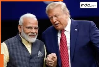 US, India unveil interim trade framework: What benefits will India get?