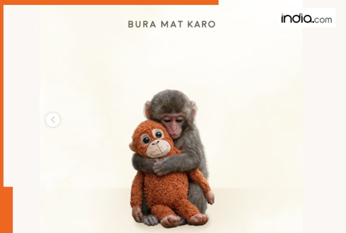 Mumbai Police joins 'Punch, viral baby monkey' trend to spread awareness for 112 helpline