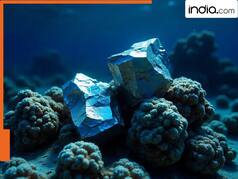 No more Chinese dominance! Japan, India in talks to jointly develop rare earth deposits in This state of India; details here