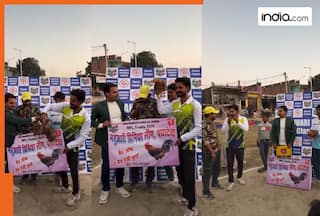 No cash, no trophy, guess what reward did winners get after UP cricket tournament win