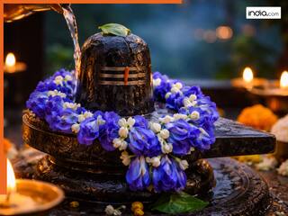 Pradosh 2026: इस त्रयोदशी करें शिव के प्रिय फूल से जुड़ा ये उपाय, खुल जाएंगे धन आगमन के सारे दरवाजे!