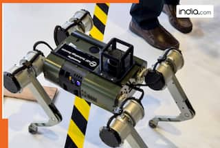 AI Impact Summit 2026: From IIT Kanpur’s Robot Dog SVAN-M2 to MP’ 3D Humanoid, here are the actual Indian-made robots that won Summit’s heart