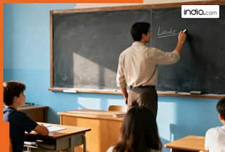 BEd and Integrated BEd: Know the difference and which one to opt after Class 12 or graduation to become a teacher