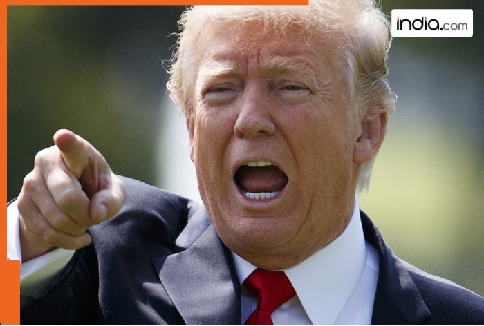 Donald Trump BANS this AI tech, Pentagon labels firm ‘national security risk’ – All you need to know?