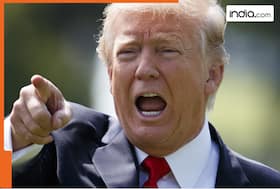 india.com top news
