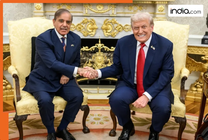 Pak-Afghanistan war: Donald Trump praises Pakistan PM Shehbaz Sharif, General Asim Munir, says 'I would intervene, but...'
