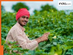 Kisan Credit Card Big Update: RBI likely to bring major changes in KCC, scheme to help crores of famers by...