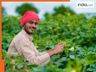 किसानों की बल्ले-बल्ले! योगी सरकार इस चीज पर दे रही है 50% सब्सिडी, जानें कैसे मिलेगा फायदा