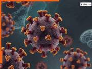 कोरोना के बाद भारत में तेजी से फैल रहा ये वायरस, बंगाल में पहली मौत, जानिए कौन सा है ये संक्रमण-कैसे फैलता है?