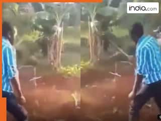 DNA टेस्ट में बच्चों का पिता नहीं निकला शख्स, फिर पत्नी की कब्र पर जाकर जो किया होश उड़ जाएंगे | देखें VIDEO