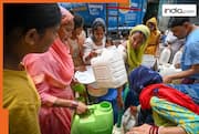 Water Crisis in Delhi? Despite plans to revive lakes, why capital leading to water crisis before summer season - In points