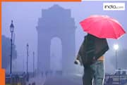 Weather Forecast: Delhi sees warmer afternoons, western disturbances to bring rain, snow to Kashmir, Ladakh, Himachal Pradesh, Uttarakhand