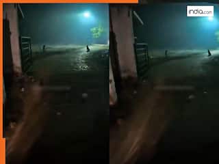 Shocking Video: कब्रिस्तान से ऑर्डर कर दी बिरयानी! गेट पर पहुंचते ही हिल गया डिलीवरी बॉय | देखें वीडियो