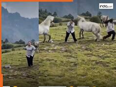 Girl Dance Video: घोड़े को डांस पार्टनर बनाकर गलती कर बैठी लड़की, तभी पड़ी ऐसी लात टूट गई बेचारी | देखें वीडियो