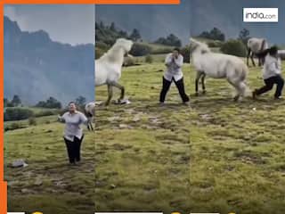 Girl Dance Video: घोड़े को डांस पार्टनर बनाकर गलती कर बैठी लड़की, तभी पड़ी ऐसी लात टूट गई बेचारी | देखें वीडियो