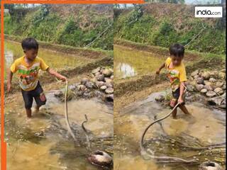 काटने की लाख कोशिश की, मगर बच्चे की फुर्ती के आगे बेबस हो गया सांप | देखें ये वीडियो