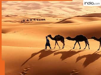 india.com top news