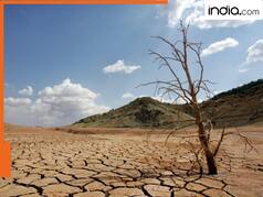पूरी दुनिया में एक साथ क्यों नहीं पड़ता है सूखा, आईआईटी की स्टडी में सामने आई सच्चाई