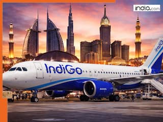 IndiGo restarts flights to 8 West Asia cities including Dubai, Abu Dhabi and Jeddah after major airspace disruptions