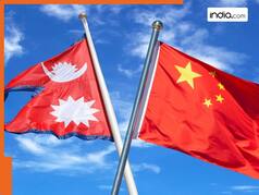 नेपाल के लोगों में चीन के खिलाफ भड़का गुस्सा,जानिए क्यों जलाई जा रहीं शी जिनपिंग की किताबें?
