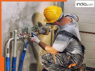 प्लंबर कमा रहा लाखों, कार,घर और जमीन सब अपना… कमाई वायरल होने पर लोगों ने कहा- बदल लेनी चाहिए नौकरी