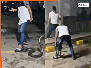 Sanp Ka Video: सांप को पैरों के नीचे दबाने लगा शख्स, तभी जो हुआ रोंगटे ही खड़े हो जाएंगे | देखिए वीडियो