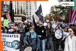 What led to chaos in the US federal vaccine panel after court intervention?