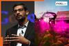 'Celebration of color, community, and new beginnings': Google CEO Sundar Pichai’s Holi Post featuring Mumbai photographer amazes Internet