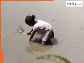 india.com top news