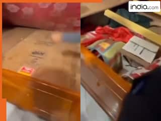 india.com top news