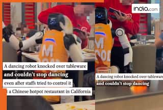Robot gets out of control in California restaurant; netizens surprisingly ask ‘Is it real?’ | Watch viral video