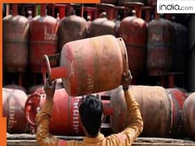 india.com top news